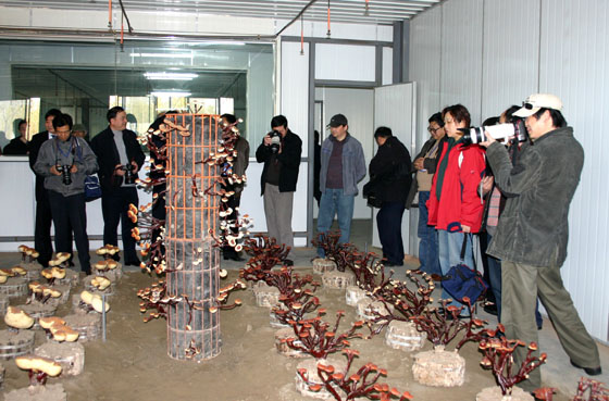 EVO视讯·(中国游)官方网站