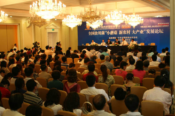 EVO视讯·(中国游)官方网站 EVO视讯·(中国游)官方网站